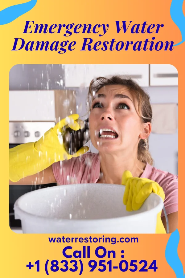 Emergency Water Damage Restoration in Kramer, ND
