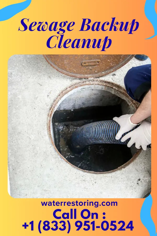 Sewage Backup Cleanup in Kramer, ND